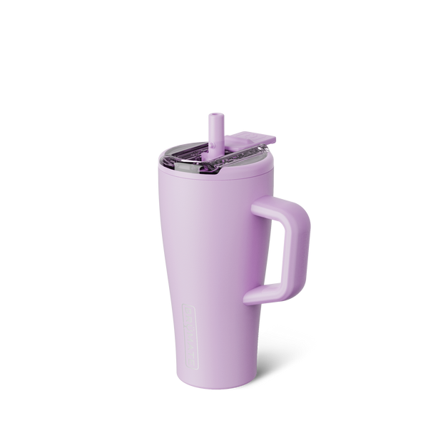 Era Flip 20oz Lavender