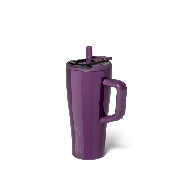 Era Flip 20oz Plum