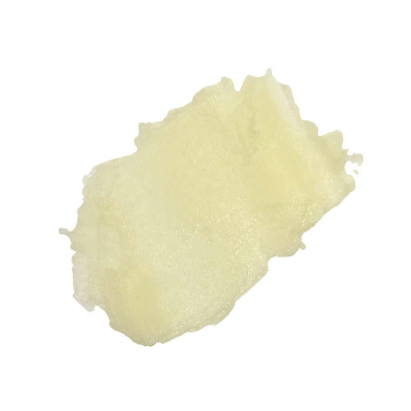 Orange Blossom Honey USDA Organic Lip Balm