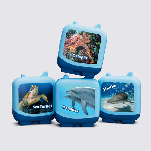 Clever Tonies Set: Marine Life