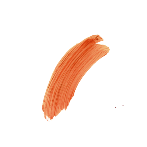 SPF 15 Desert Flower Tinted Lip Balm