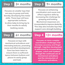 Smart Steps Smart Ship