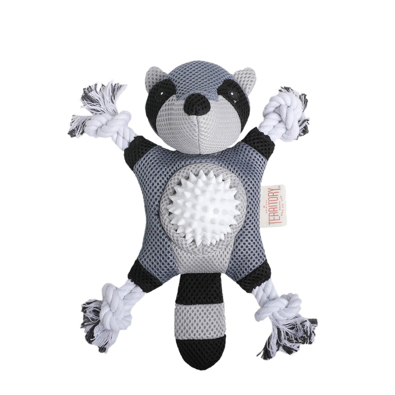 2-In-1 Raccoon Toy 10"