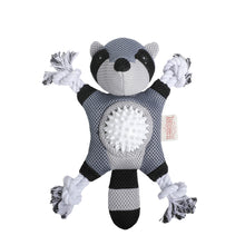 2-In-1 Raccoon Toy 10"