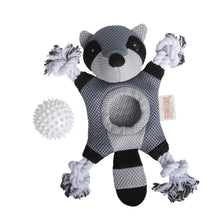 2-In-1 Raccoon Toy 10"