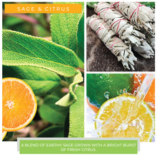 Sage & Citrus - 34 oz Papa Candle
