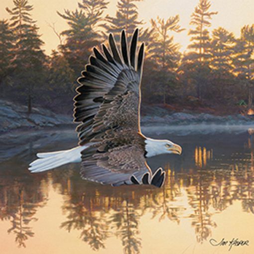 Bald Eagle Square House Coaster