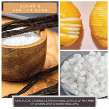 Sugar & Vanilla Bean - 34 oz Papa Candle