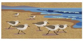 Sandpipers Flocked Coir Sassafras Switch Mat