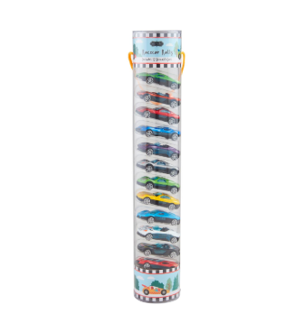 Race Car Rally Set