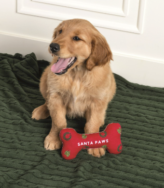 Embroidered Dog Bone Toy