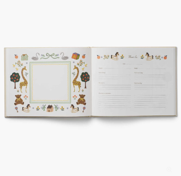 Embroidered Baby Book