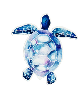 Coastal Screen Saver - Turtle