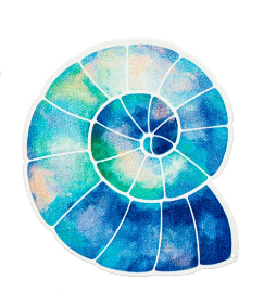 Coastal Screen Saver - Curled Shell