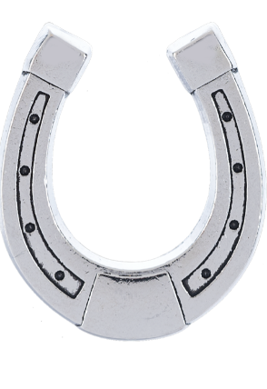 The Lucky Little Horseshoe Charm