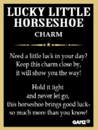 The Lucky Little Horseshoe Charm