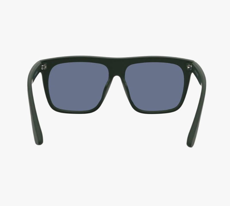 Polarized Birch Bronze