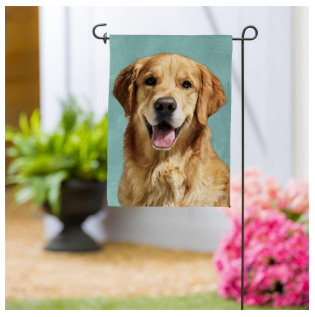 Pet Central Photo Dogs, Golden Retriever Suede Garden Flag