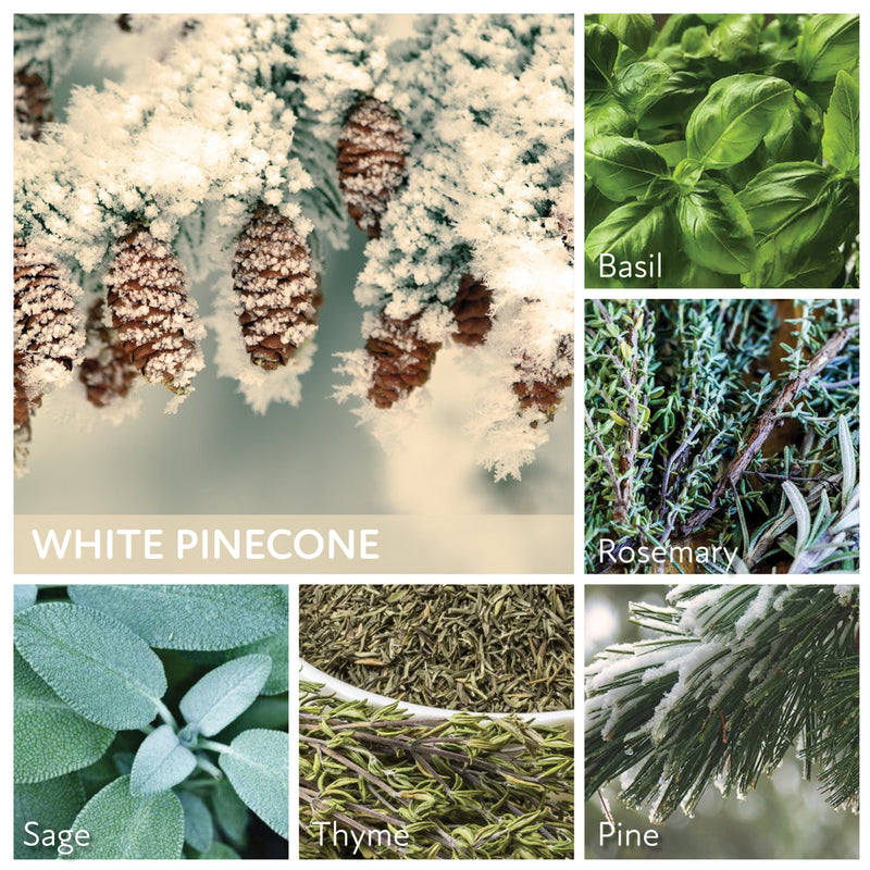 White Pinecone - 34 oz Papa Candle