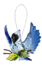 Open Winged Garden Blue Jay
