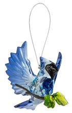 Open Winged Garden Blue Jay