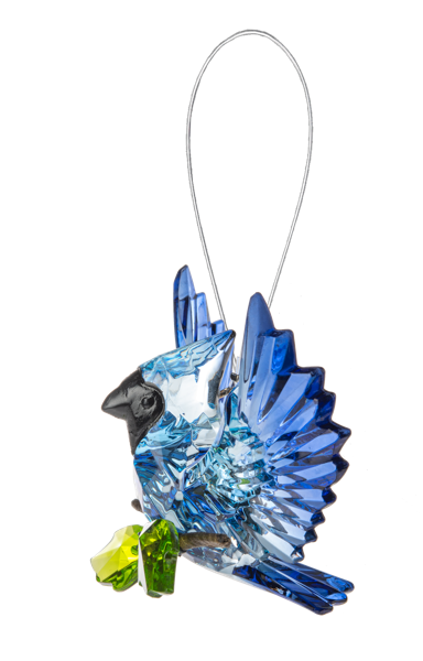 Open Winged Garden Blue Jay