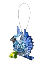 Open Winged Garden Blue Jay