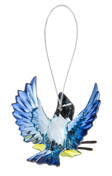 Open Winged Garden Blue Jay