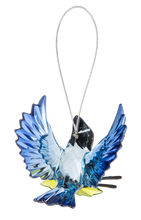 Open Winged Garden Blue Jay