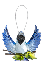 Open Winged Garden Blue Jay
