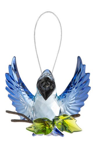 Open Winged Garden Blue Jay