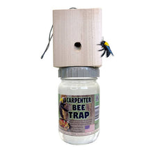 Carpenter Bee Trap