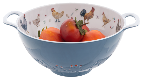 Watercolor Chicken Berry Bowl