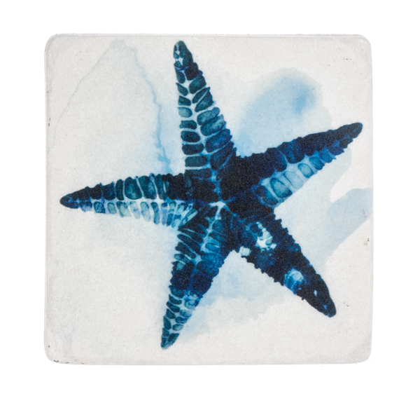 Watercolor Under the Sea Coaster (4 pc. set)