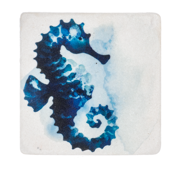 Watercolor Under the Sea Coaster (4 pc. set)