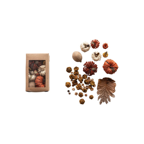 Dried Natural Organic Pumpkin Shaped Mix in Box, Multi Color