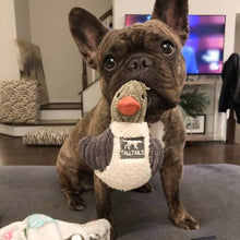 Duckling with Squeaker