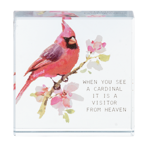 Block Talk - When You See A Cardinal It Is A Visitor From Heaven