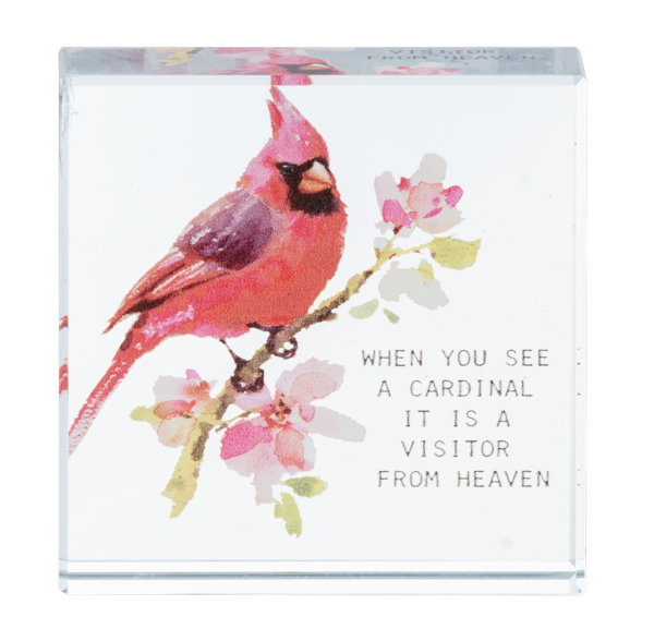 Block Talk - When You See A Cardinal It Is A Visitor From Heaven