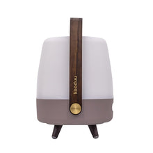 Lite Up Play Mini - Cordless rechargeable indoor/outdoor speaker Lamp, Sound by JBL