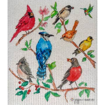 Backyard Buddies Swedish Cloth