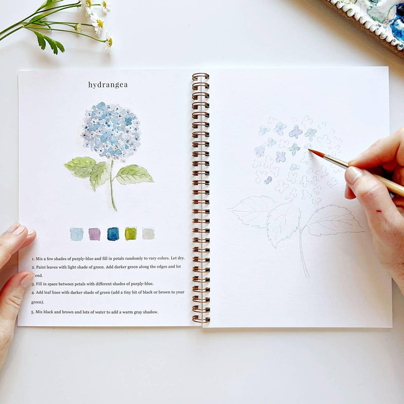 Watercolor Workbook