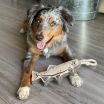 Natural Leather Trout Tug Dog Toy