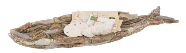 Coastal Driftwood Fish Tray