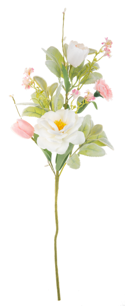 Spring Time Spray