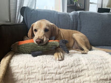 Plush Fish with Squeaker