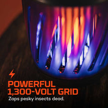 Solar Zapper and Lantern