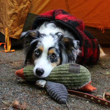 Plush Duck with Squeaker Dog Toy