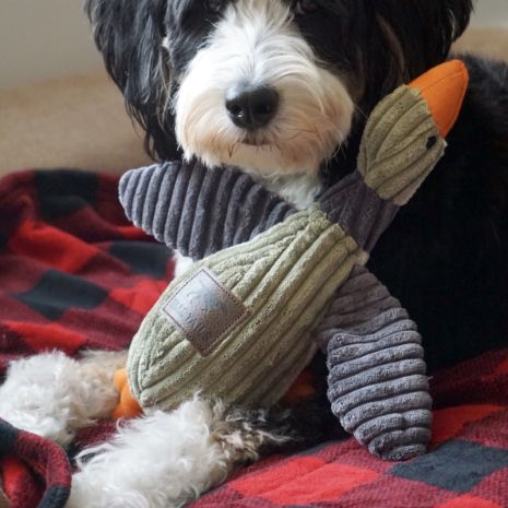 Plush Duck with Squeaker Dog Toy
