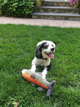 Plush Fish with Squeaker
